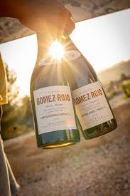 Tokyo Gomez-Rojo 2021